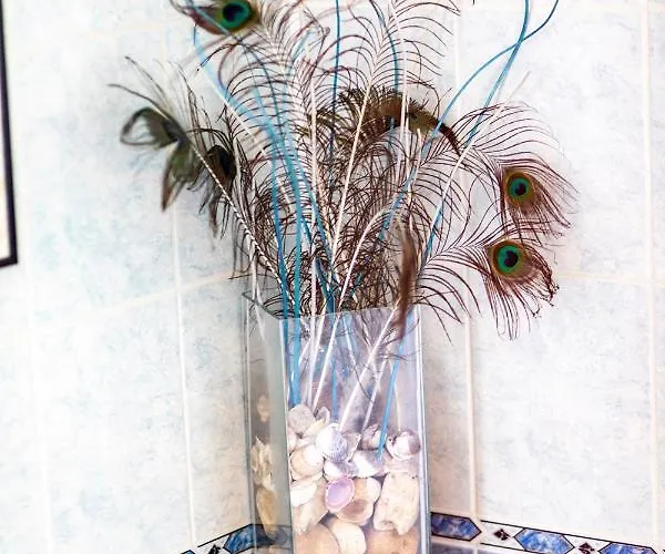 Marcelka Couette-café